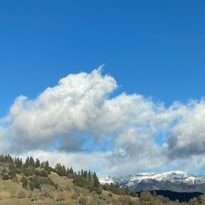 Meet your Posher, Omi